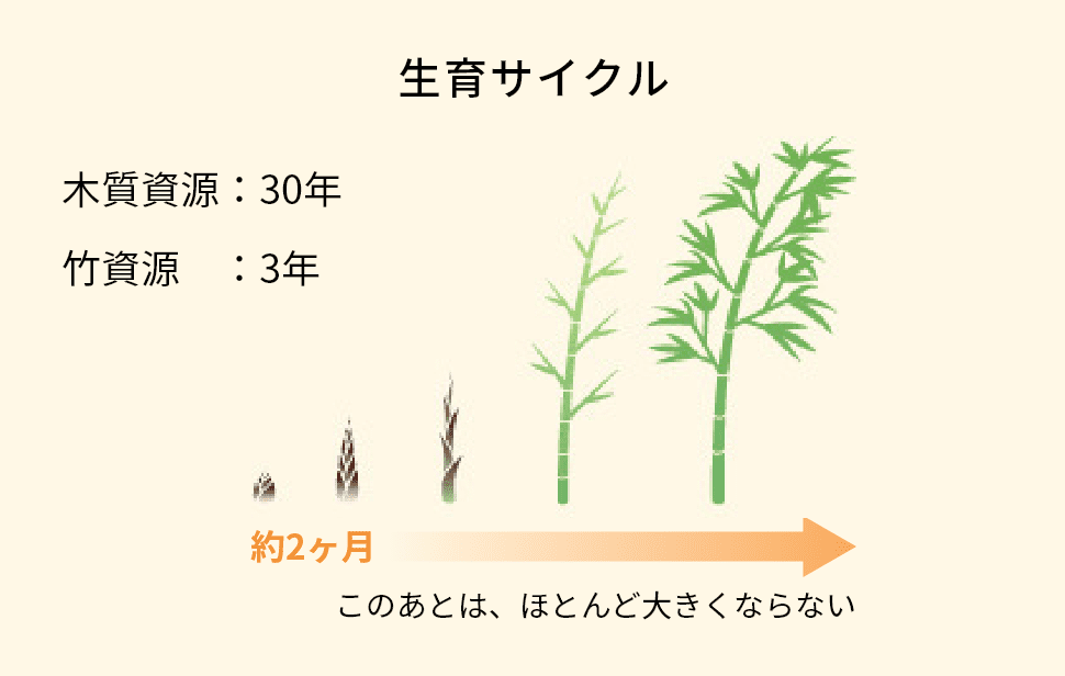 生育サイクル　木質資源：30年　竹資源：3年