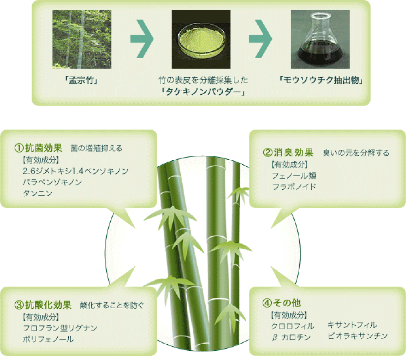 モウソウチク抽出物図