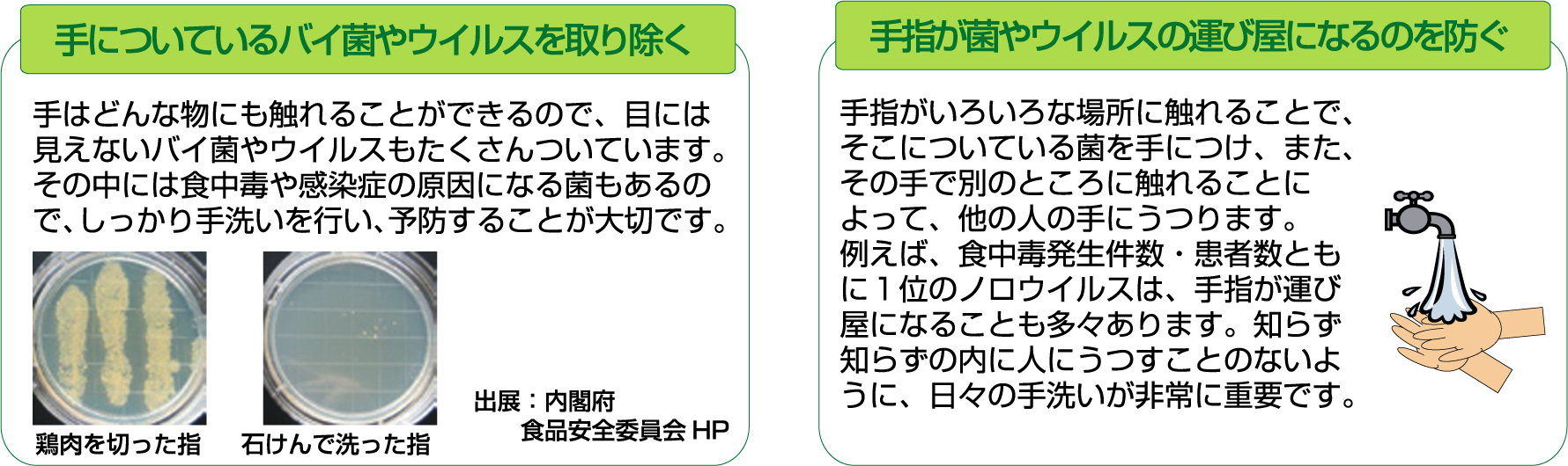 手洗いの必要性